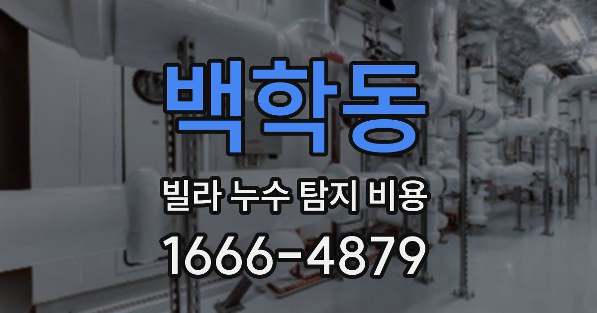 백학동 빌라 누수 탐지 비용