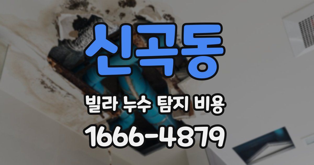 신곡동 빌라 누수 탐지 비용