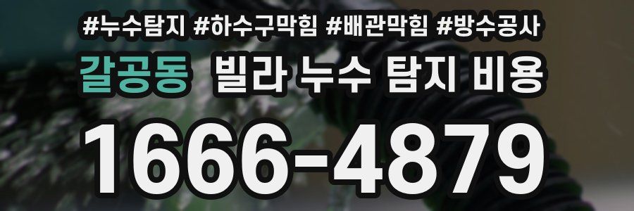 갈공동 빌라 누수 탐지 비용