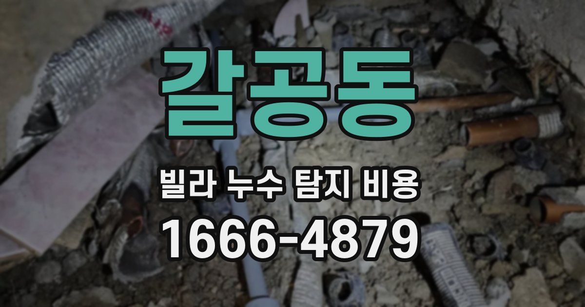 갈공동 빌라 누수 탐지 비용