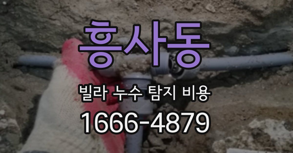 흥사동 빌라 누수 탐지 비용