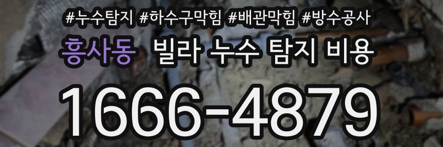 흥사동 빌라 누수 탐지 비용