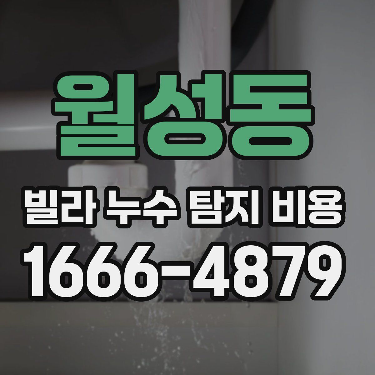 월성동 빌라 누수 탐지 비용