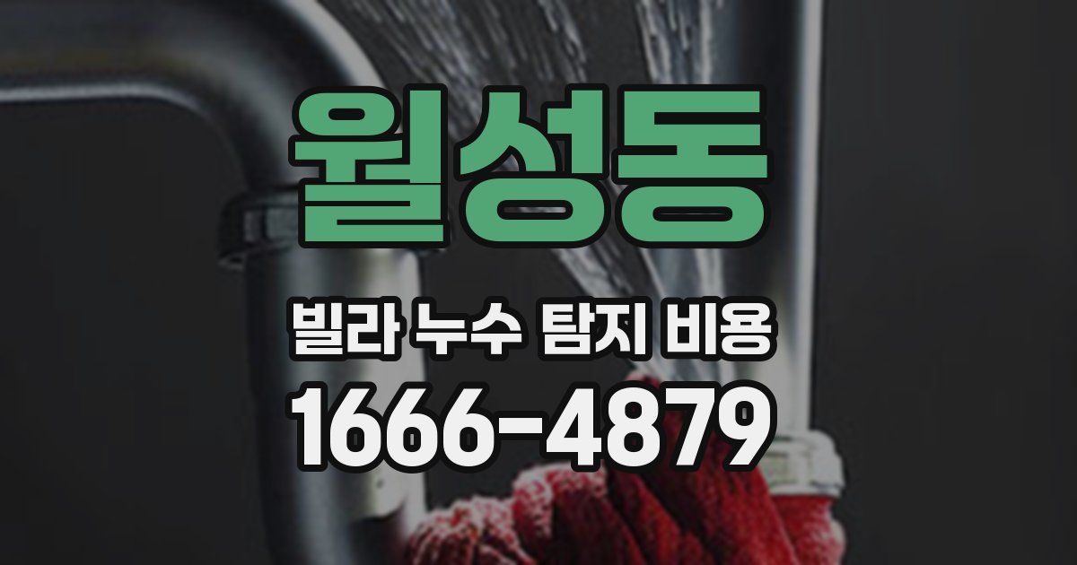 월성동 빌라 누수 탐지 비용
