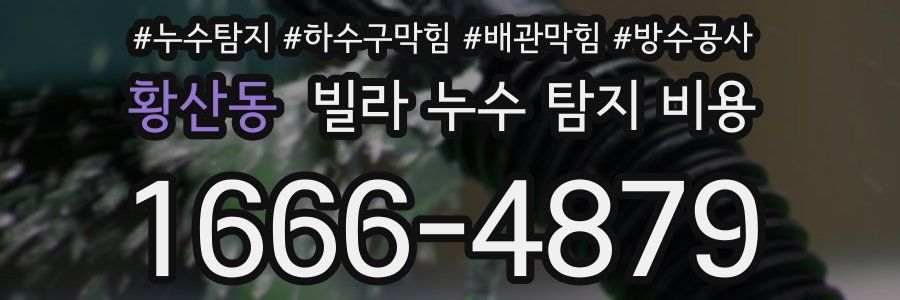 황산동 빌라 누수 탐지 비용