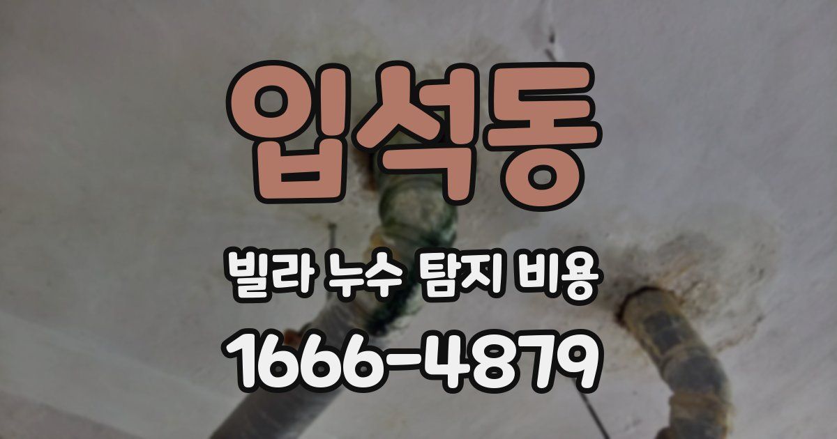 입석동 빌라 누수 탐지 비용