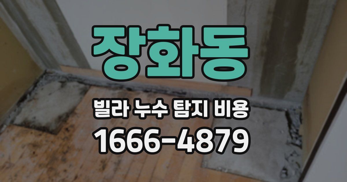 장화동 빌라 누수 탐지 비용