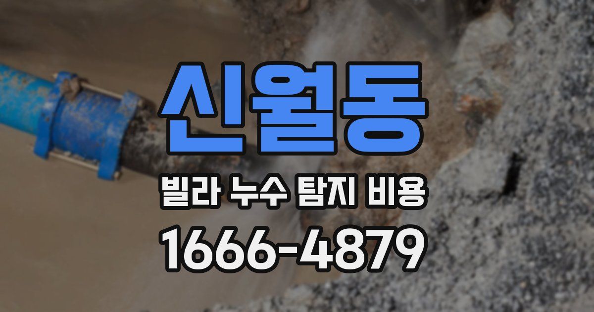 신월동 빌라 누수 탐지 비용