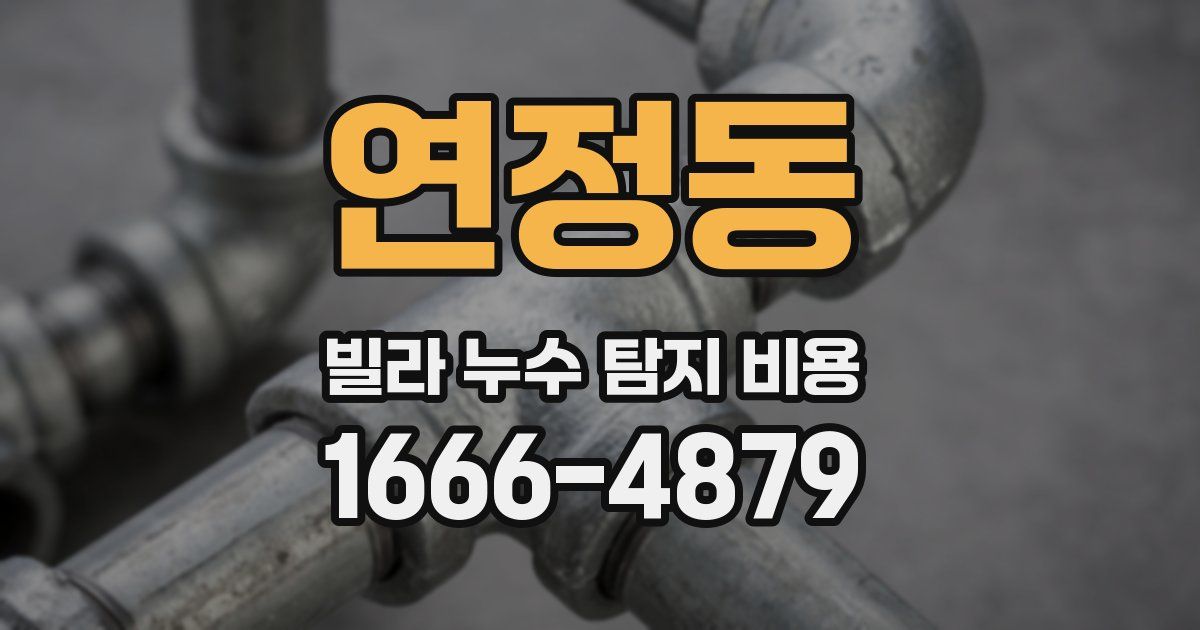 연정동 빌라 누수 탐지 비용