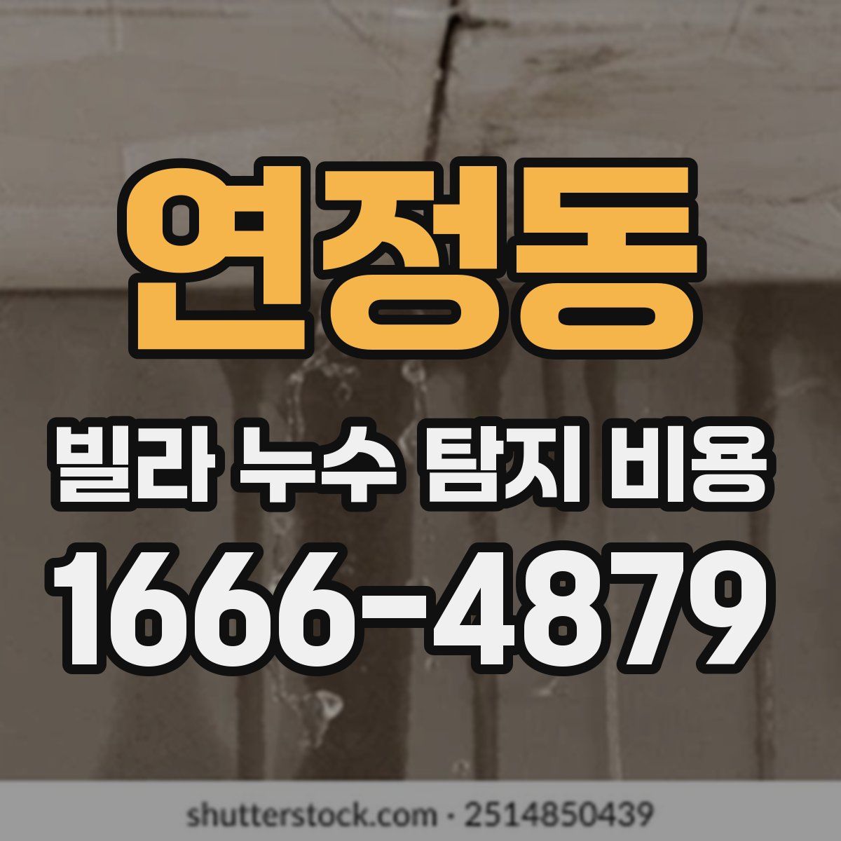 연정동 빌라 누수 탐지 비용