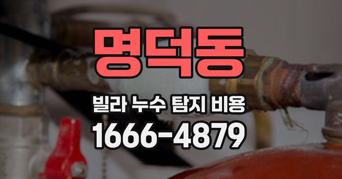 명덕동 빌라 누수 탐지 비용
