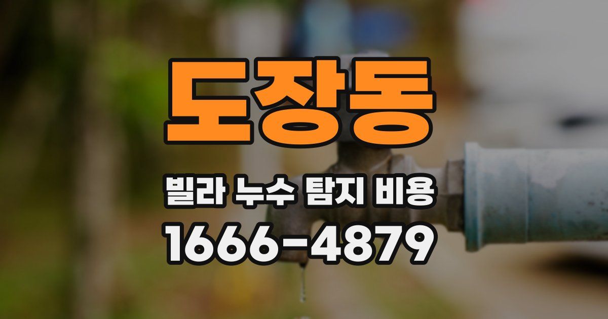 도장동 빌라 누수 탐지 비용