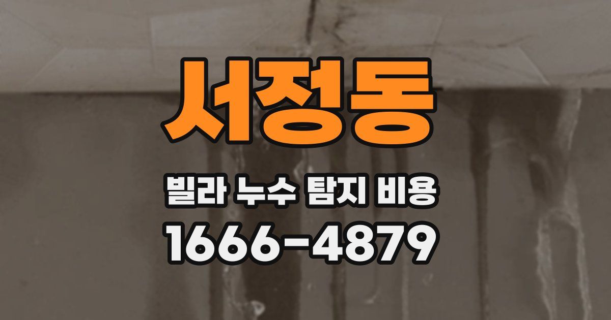 서정동 빌라 누수 탐지 비용