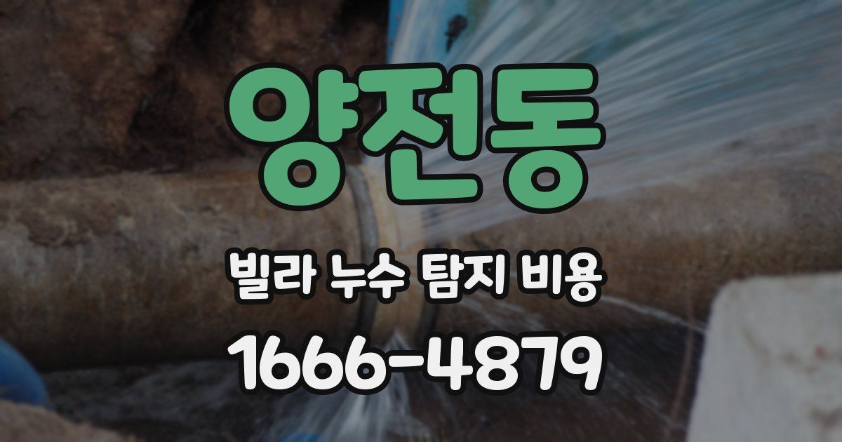 양전동 빌라 누수 탐지 비용