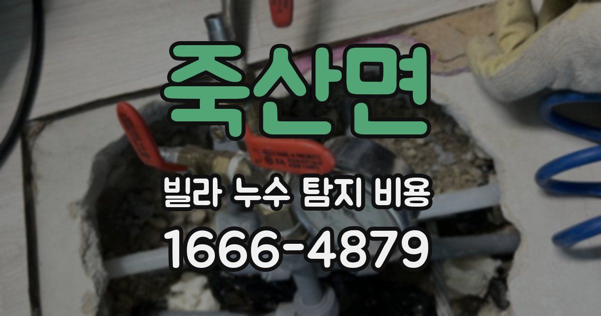 죽산면 빌라 누수 탐지 비용