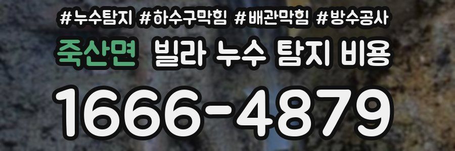 죽산면 빌라 누수 탐지 비용