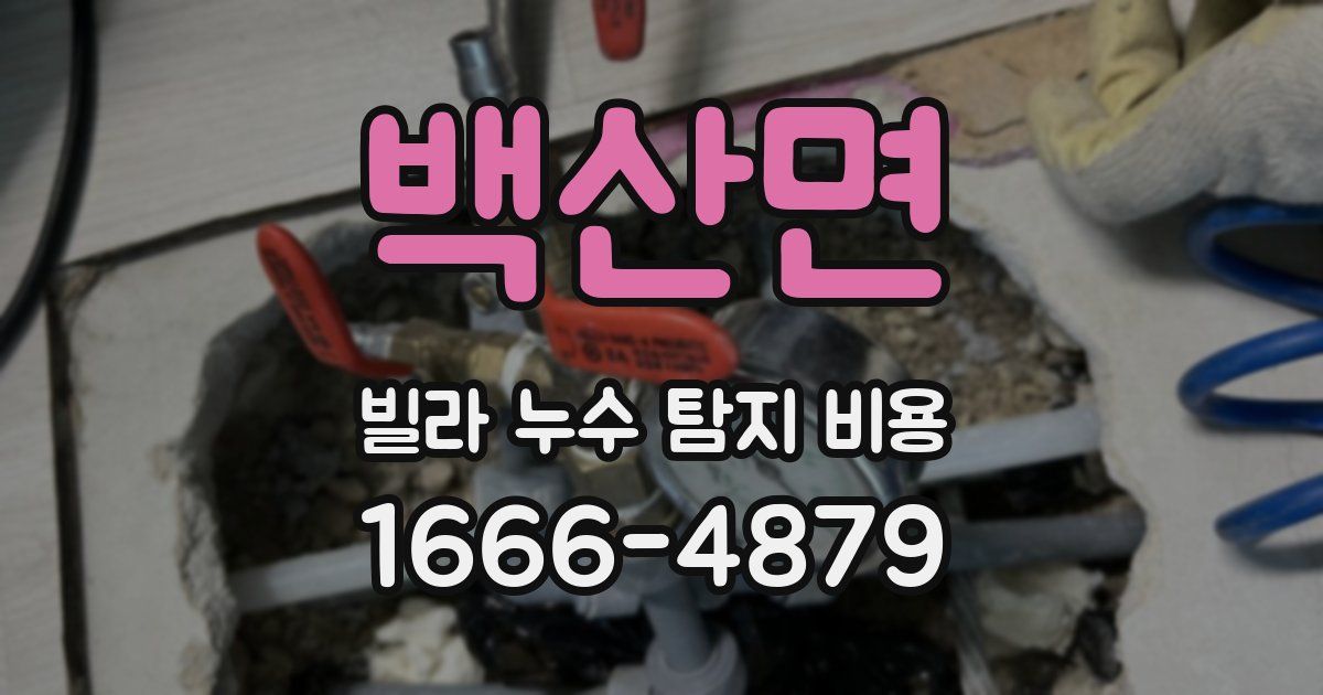 백산면 빌라 누수 탐지 비용