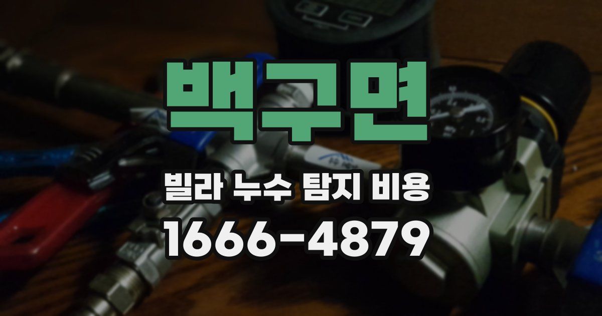 백구면 빌라 누수 탐지 비용