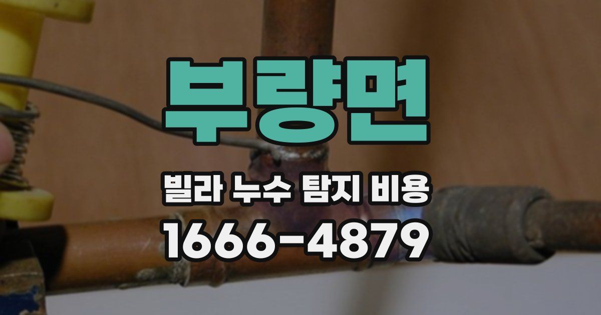 부량면 빌라 누수 탐지 비용
