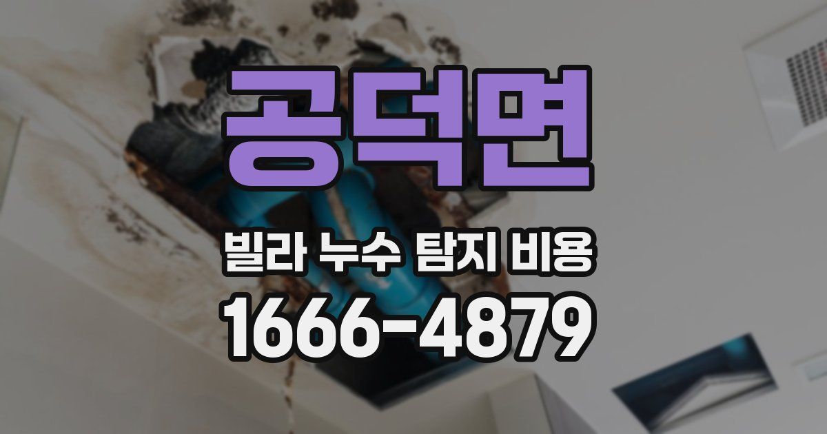 공덕면 빌라 누수 탐지 비용