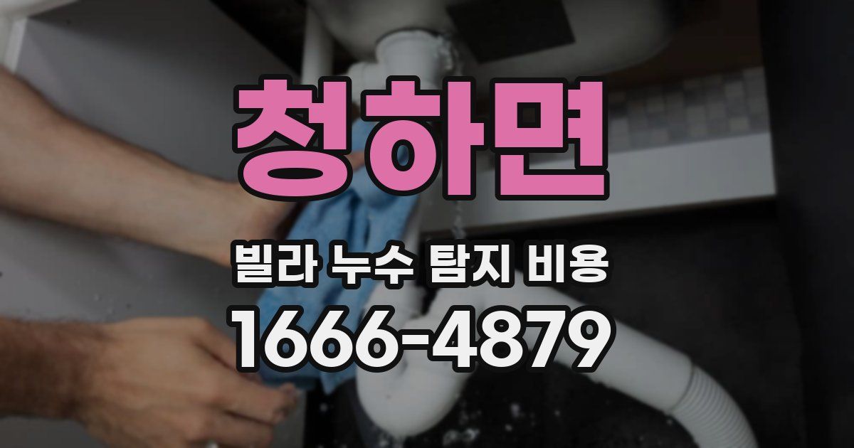 청하면 빌라 누수 탐지 비용