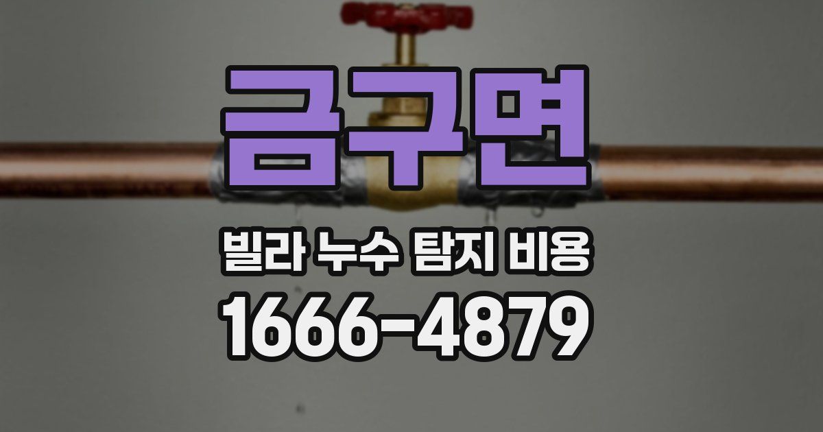 금구면 빌라 누수 탐지 비용