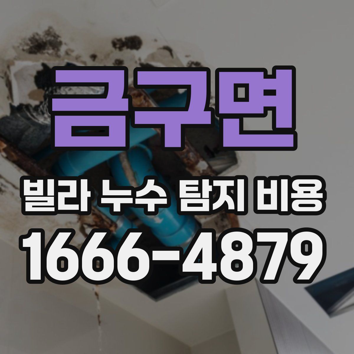 금구면 빌라 누수 탐지 비용