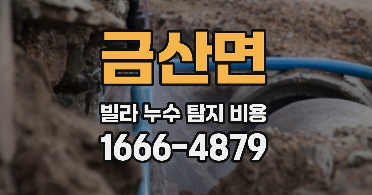 금산면 빌라 누수 탐지 비용