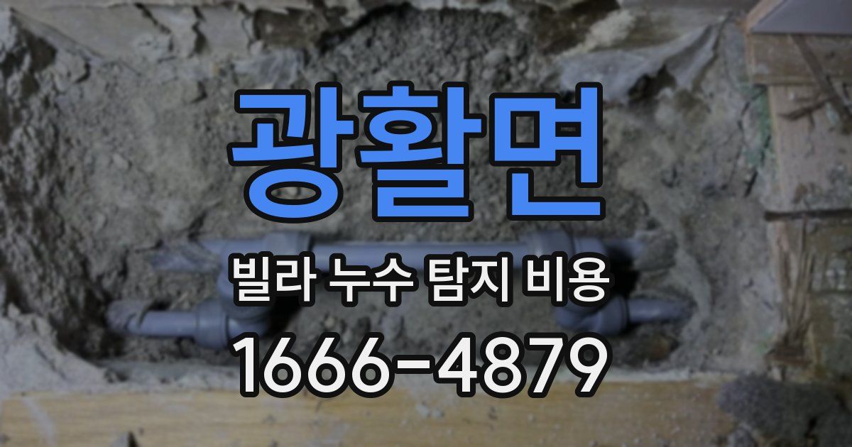 광활면 빌라 누수 탐지 비용
