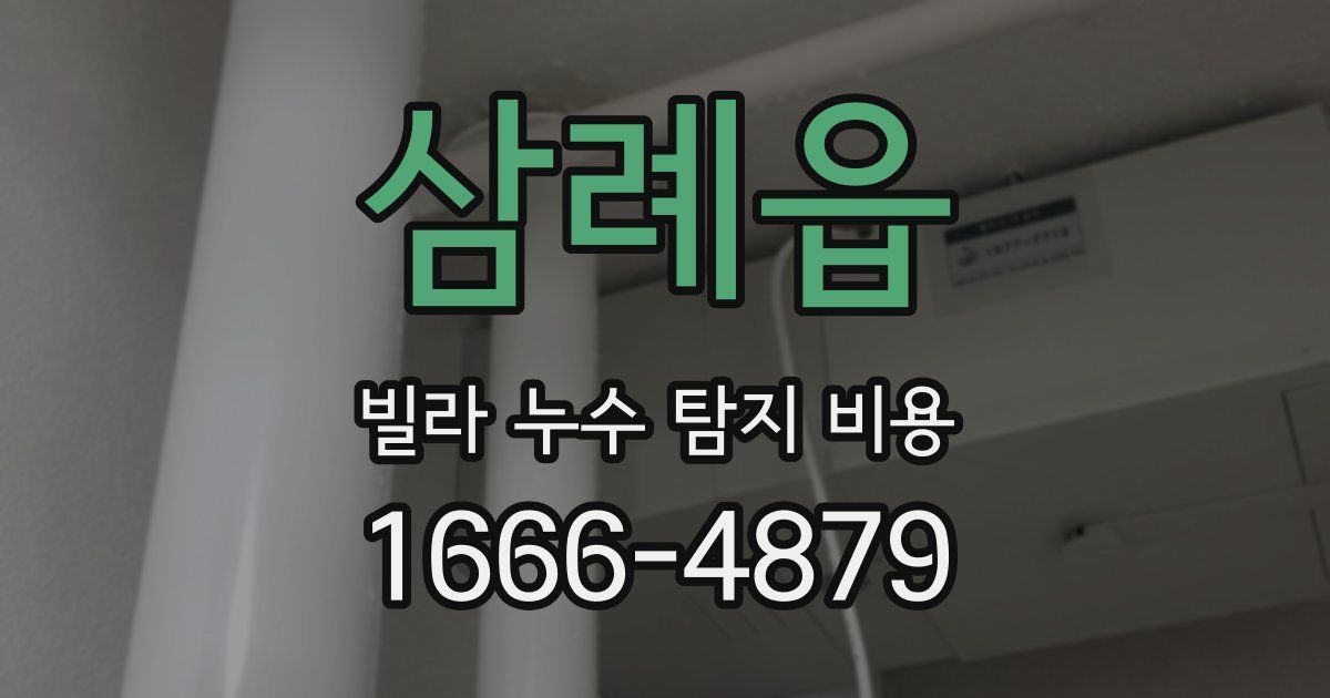 삼례읍 빌라 누수 탐지 비용