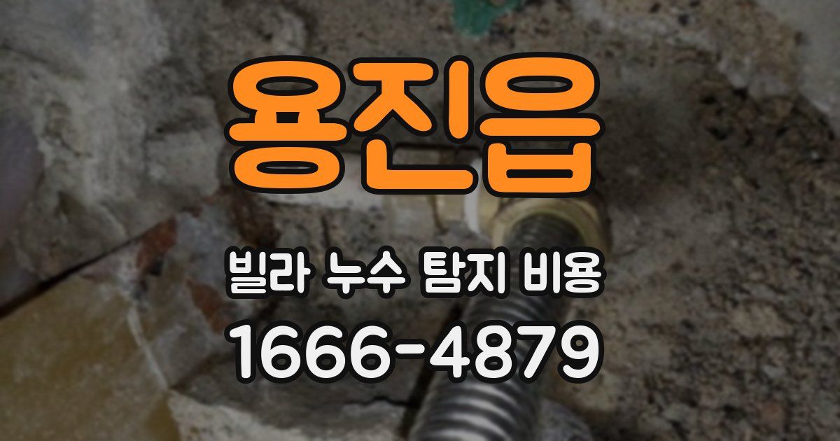 용진읍 빌라 누수 탐지 비용