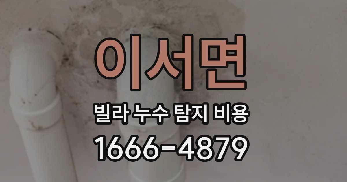 이서면 빌라 누수 탐지 비용