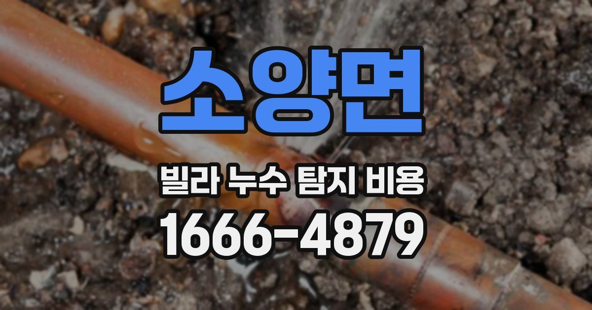 소양면 빌라 누수 탐지 비용