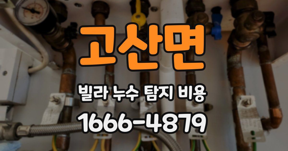 고산면 빌라 누수 탐지 비용