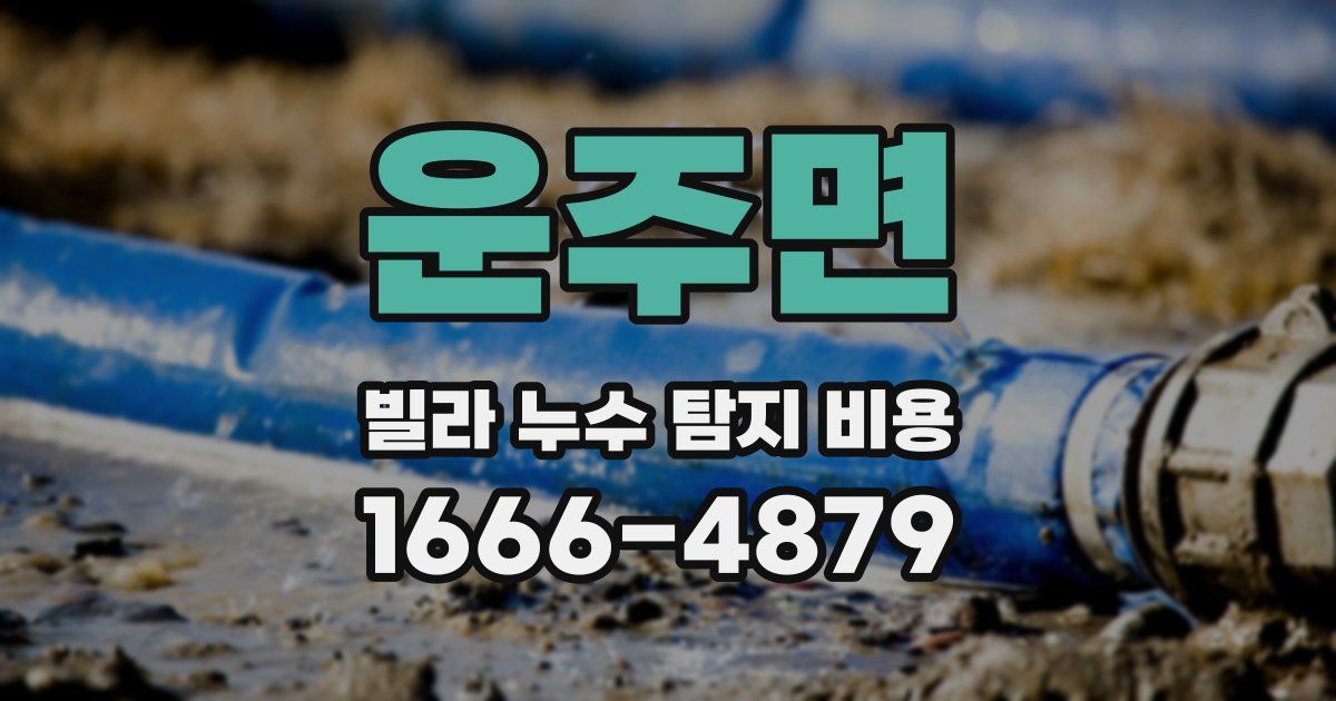 운주면 빌라 누수 탐지 비용