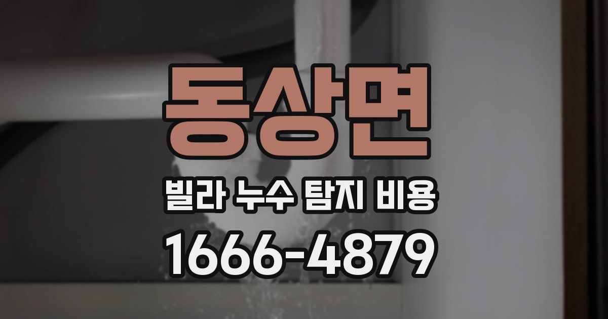 동상면 빌라 누수 탐지 비용