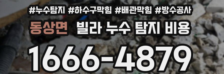 동상면 빌라 누수 탐지 비용