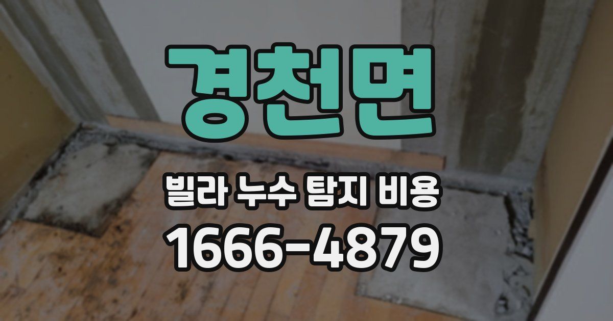 경천면 빌라 누수 탐지 비용