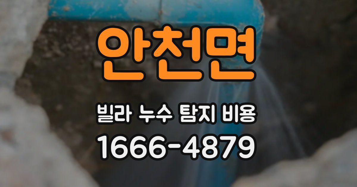 안천면 빌라 누수 탐지 비용
