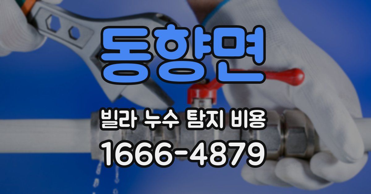 동향면 빌라 누수 탐지 비용