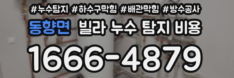 동향면 빌라 누수 탐지 비용