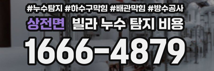 상전면 빌라 누수 탐지 비용