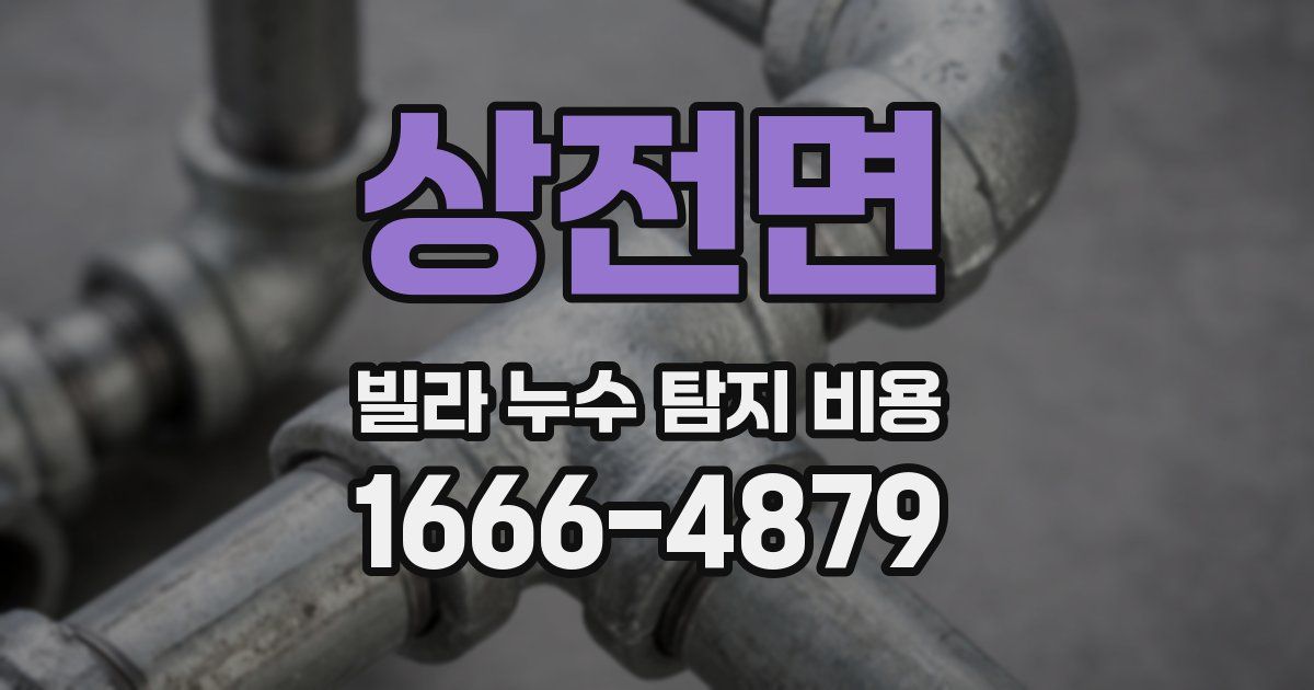 상전면 빌라 누수 탐지 비용