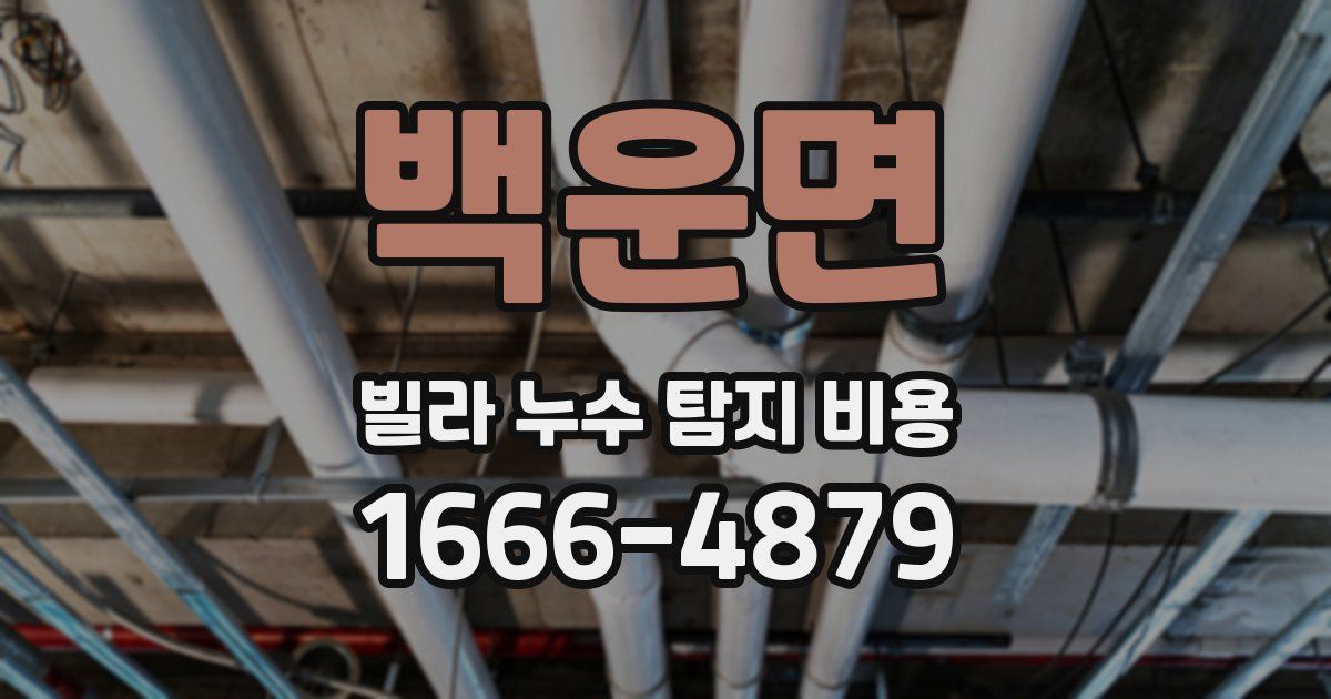 백운면 빌라 누수 탐지 비용