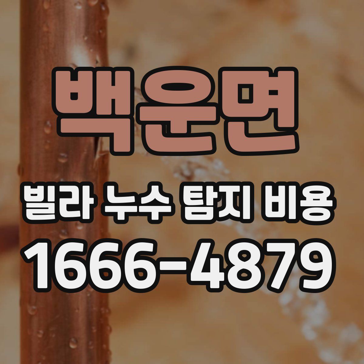 백운면 빌라 누수 탐지 비용