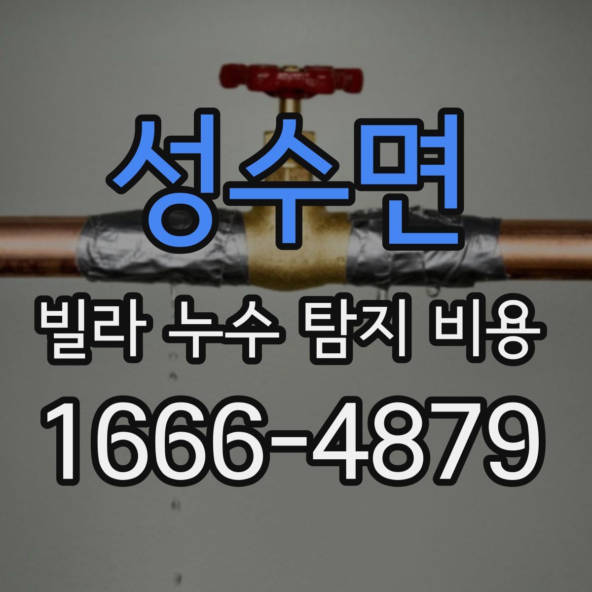 성수면 빌라 누수 탐지 비용