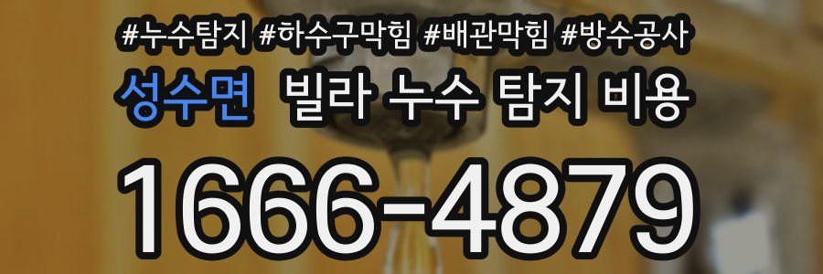 성수면 빌라 누수 탐지 비용