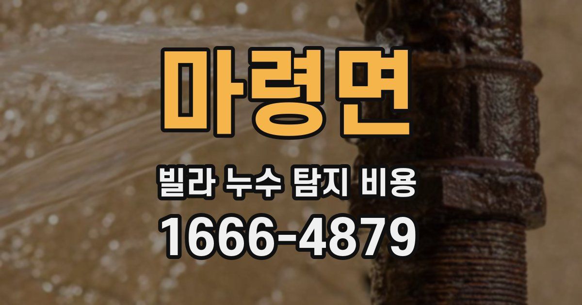 마령면 빌라 누수 탐지 비용