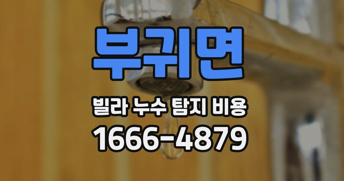 부귀면 빌라 누수 탐지 비용