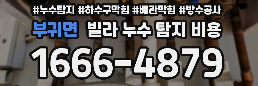 부귀면 빌라 누수 탐지 비용